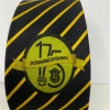 175th Anniversary Tie